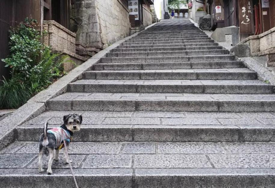 Hanakiya Kyoto Eksteriør billede